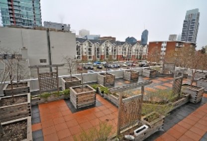 Rooftop garden at The Chocolate
