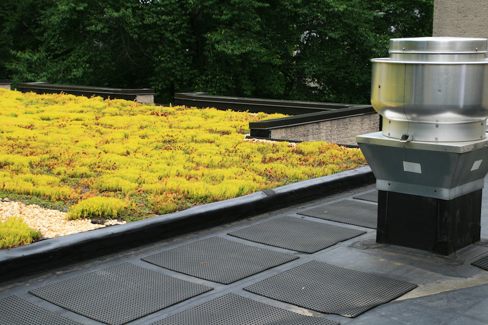 Green Plant Roofs for the Environment