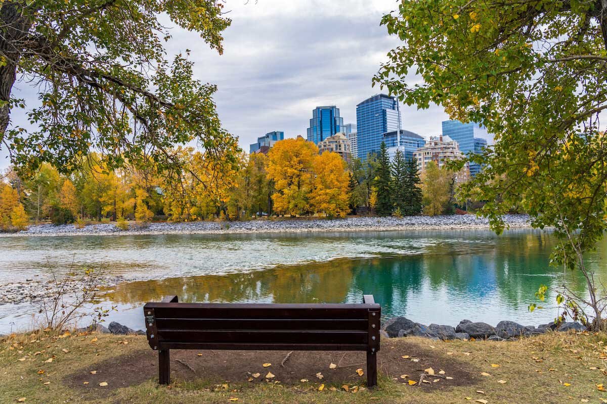 Bench in Prince's Island Park in Calgary AB