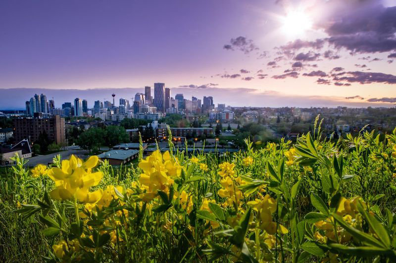 Calgary's Springbank Hill Neighbourhood is Very Desirable
