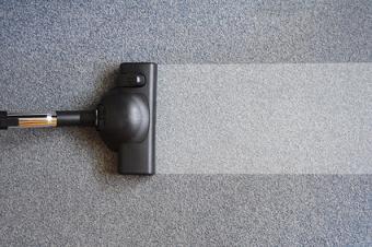 Should You Install Carpet in Your Home?
